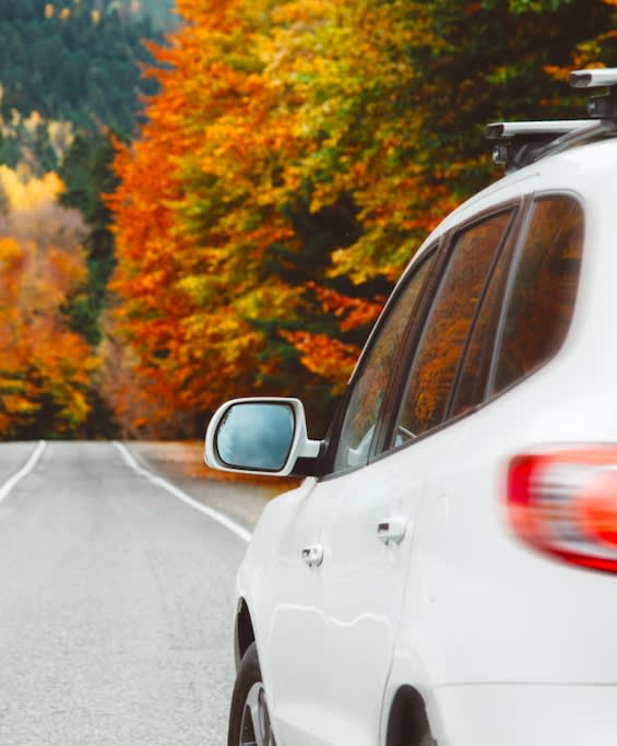 A car driving along the road during the fall season