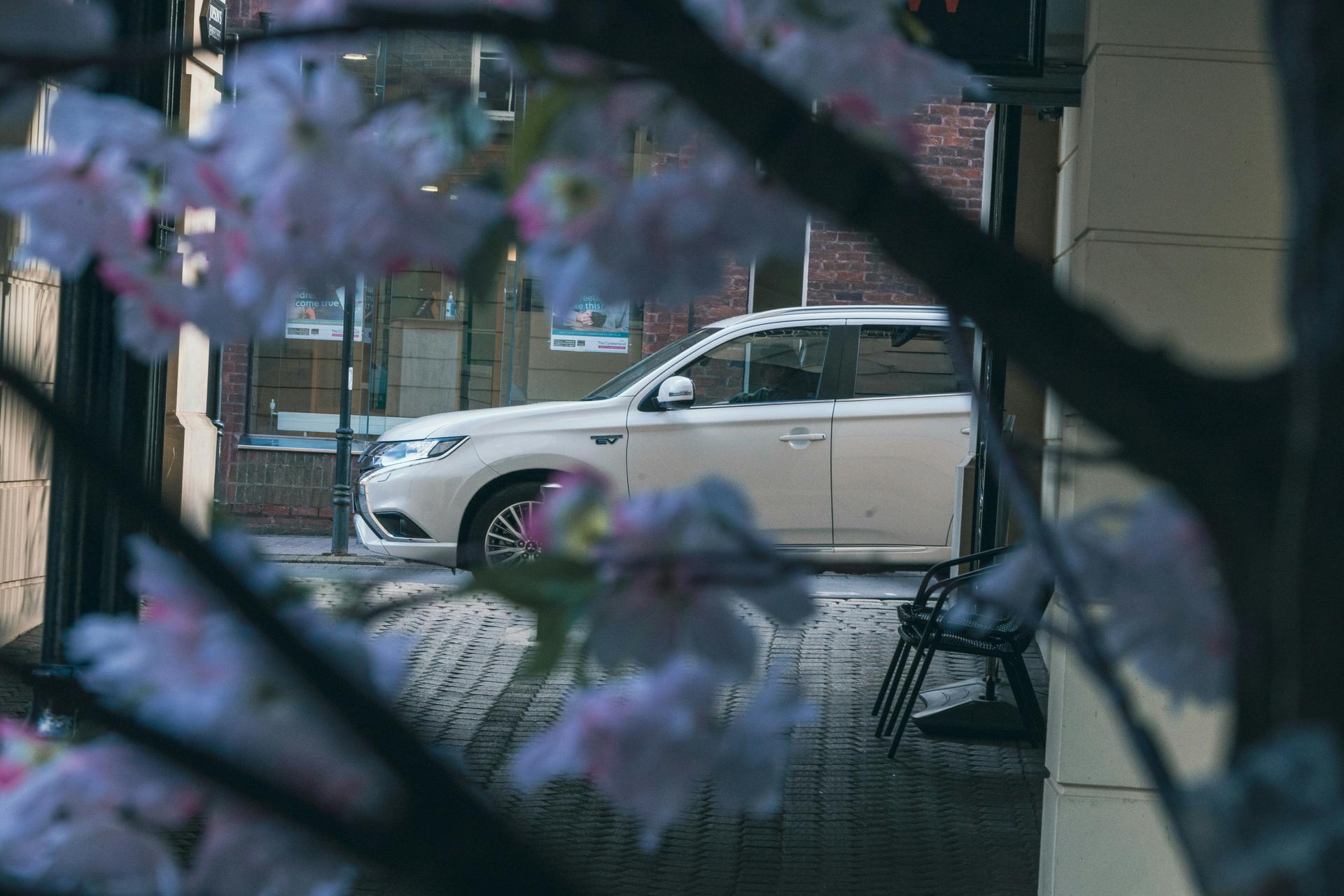 a grey-white car on a cobblestone street obscured by blossoms on a tree