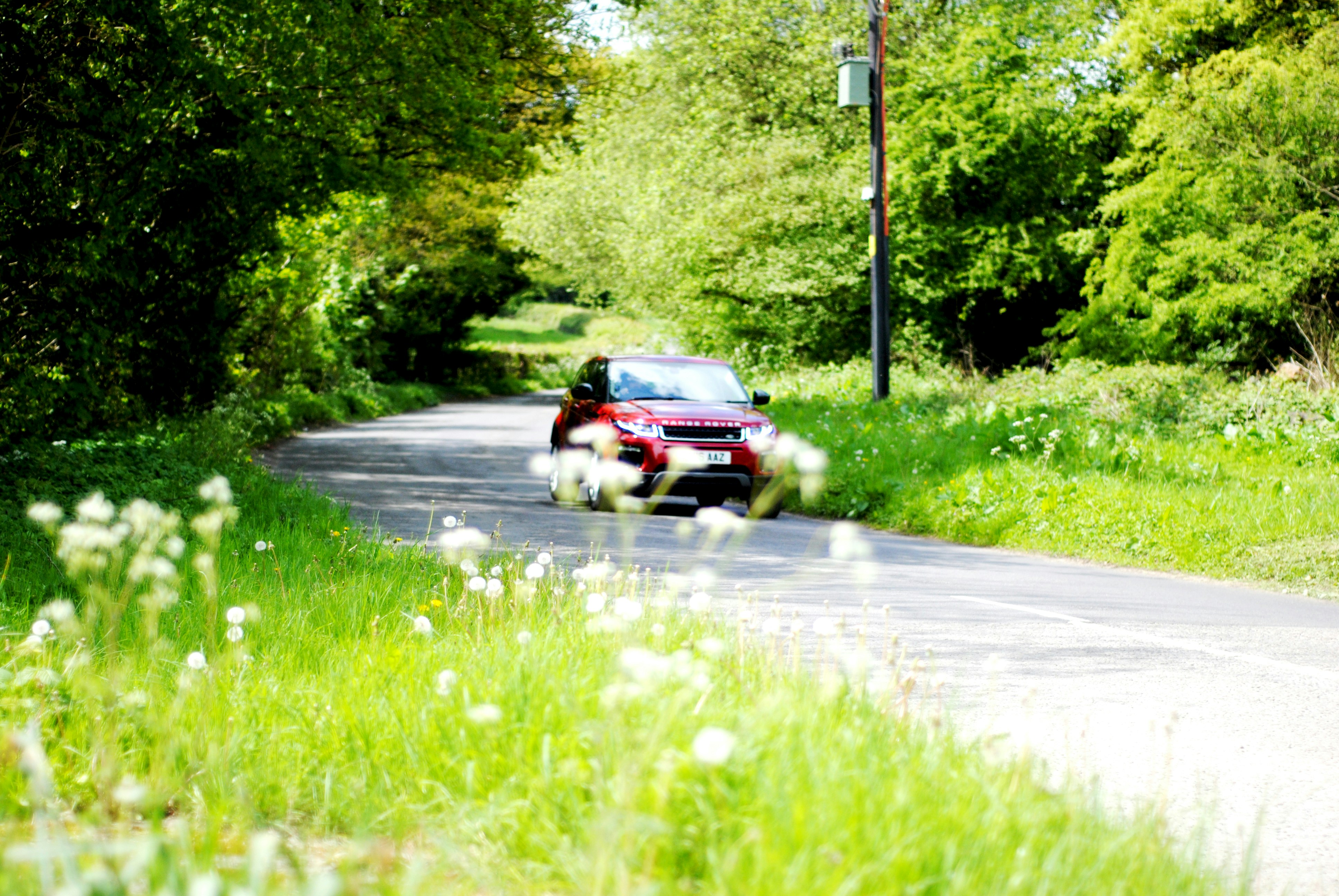 red Range Rover driving by flower field and trees on bright sunny day
