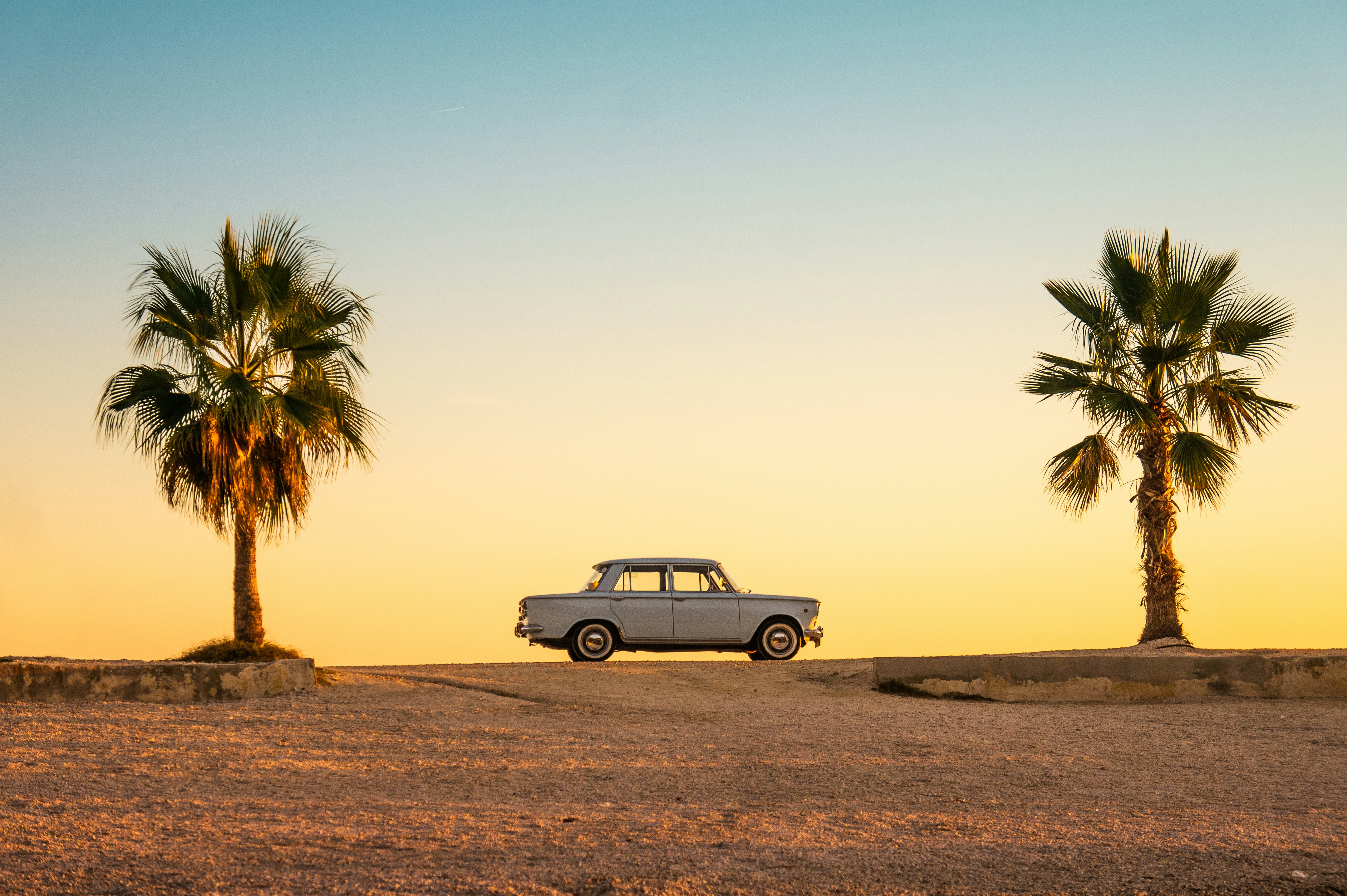 vintage car on beach flanked by palm trees