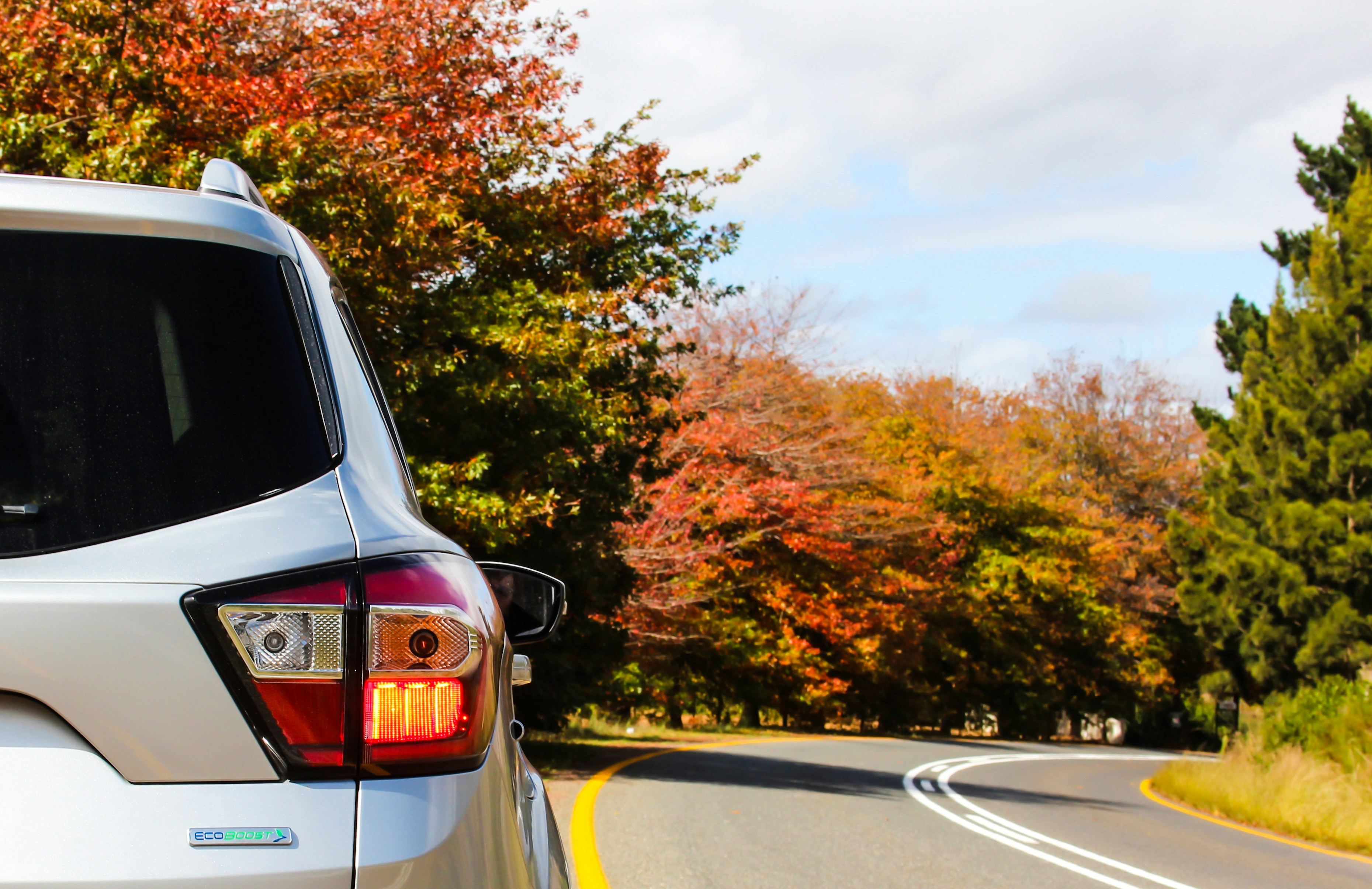silver SUV on road surrounded by fall foliage