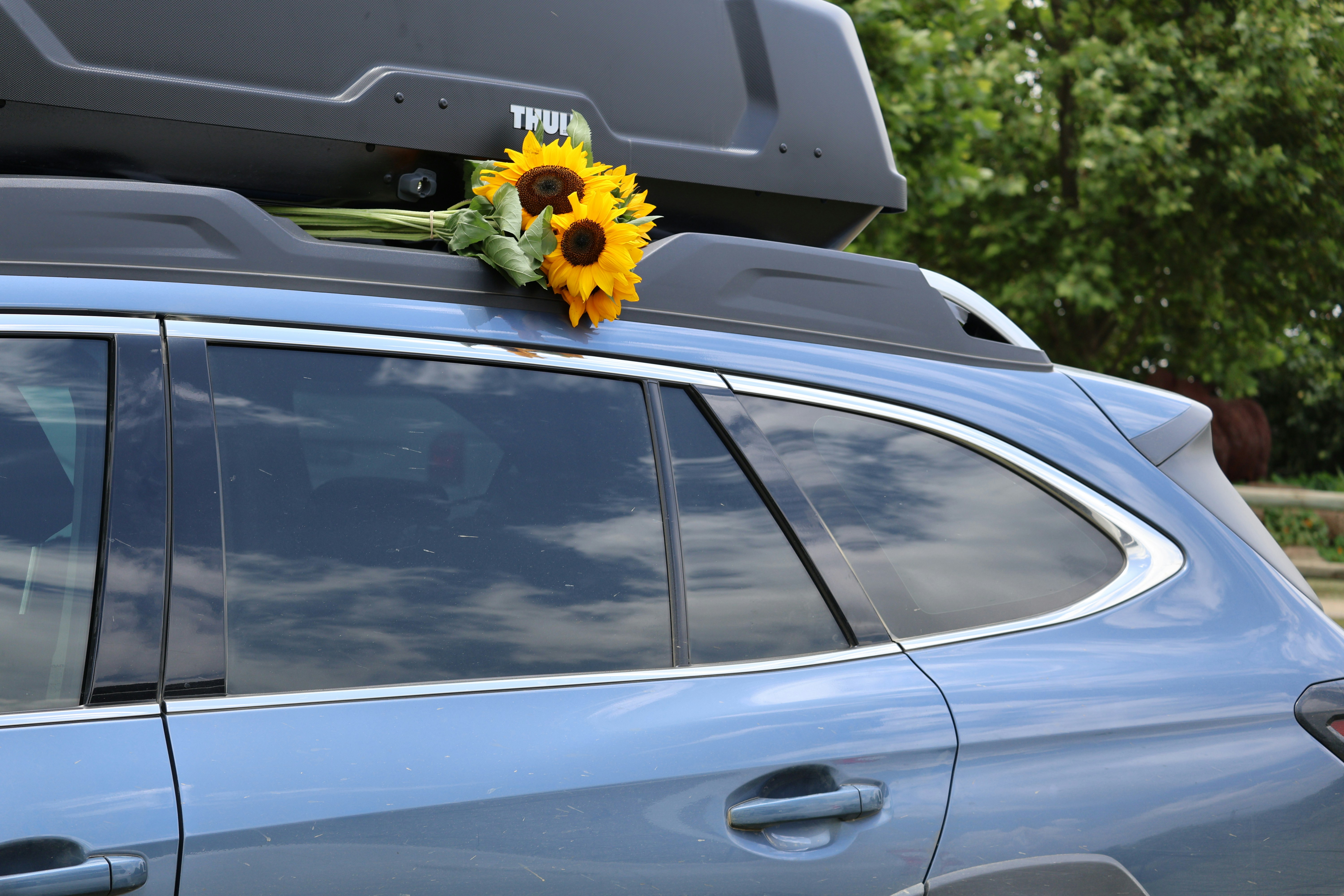 side of light blue SUV  with sunflowers in the bike rack (lilishia gounder via Unsplash)